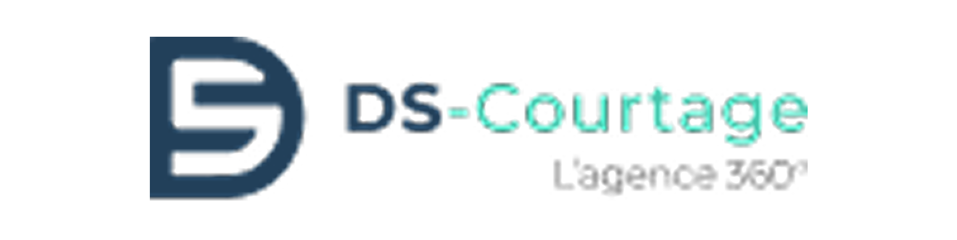 Logo DS Courtage — client BuzzTrack